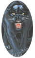 Aransas Pass Panthers