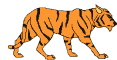 Carroll Tigers