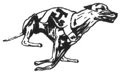 Taft Greyhounds